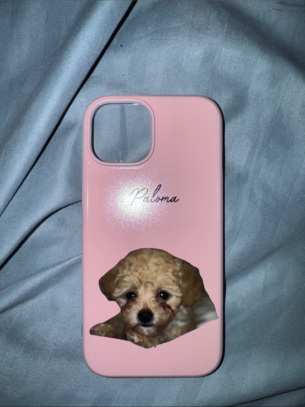 Pink Paloma preteen toy poodle dog baby Puppy iPhone 15 Case birthday gift cute
